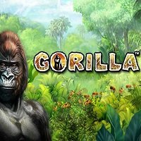 Gorilla kostenlos spielen Slot Spiel Bild