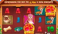 The Dog House kostenlos spielen The Dog House kostenlos spielen Slot Spiel Bild
