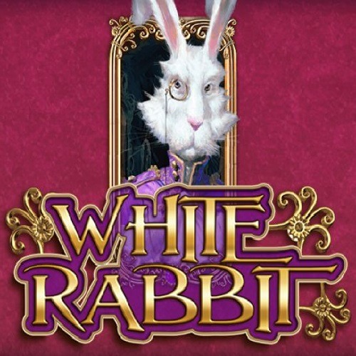 White Rabbit kostenlos spielen Slot Spiel Bild