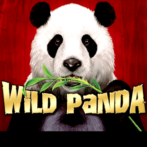 Wild Panda kostenlos spielen Slot Spiel Bild