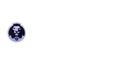 CryptoLeo Casino Casino Bild