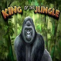 King of the Jungle kostenlos spielen Slot Spiel Bild